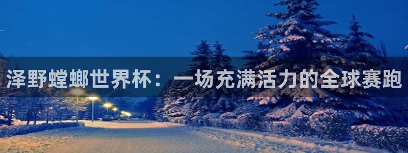 足球杯:泽野螳螂世界杯:一场充满活力的全球赛跑