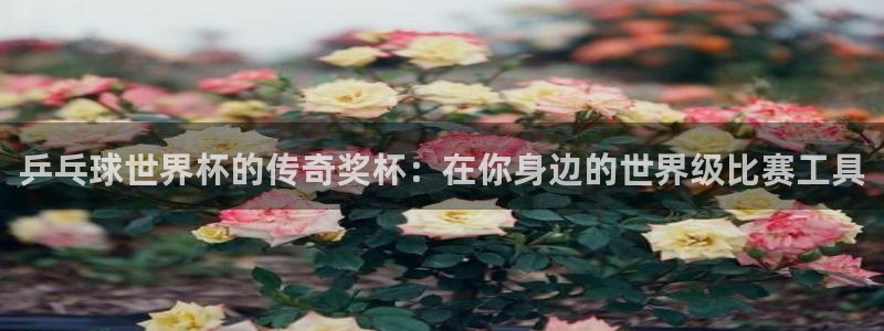 世界杯足球比赛:乒乓球世界杯的传奇奖杯:在你身边的世界级比赛工具