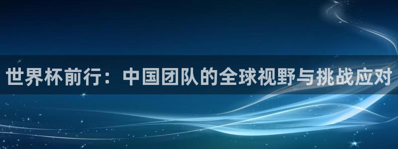 世界杯赛程时间表:世界杯前行:中国团队的全球视野与挑战应对