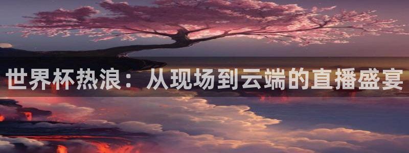 2026世界杯中国队：世界杯热浪：从现场到云端的直播盛宴