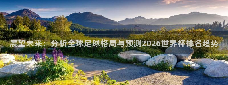 世界杯今年：展望未来：分析全球足球格局与预测2026世界杯排名趋势