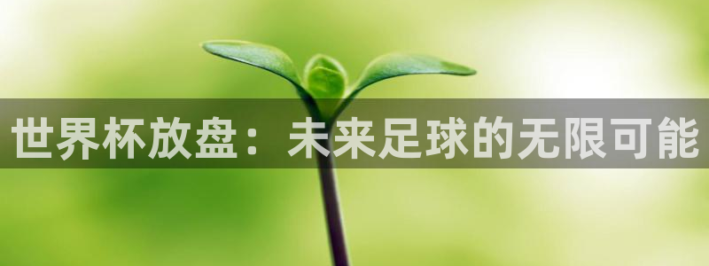 世界杯足球2026:世界杯放盘:未来足球的无限可能