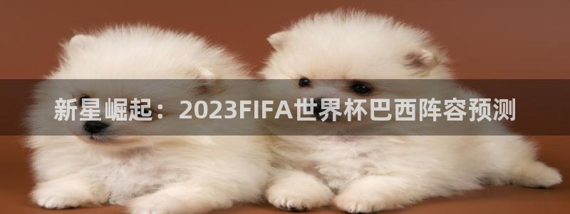 2026世界杯欧洲预选赛赛程表：新星崛起：2023FIFA世界杯巴西阵容预测
