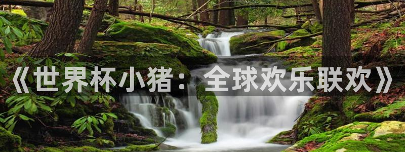 世界杯比赛赛程：《世界杯小猪：全球欢乐联欢》