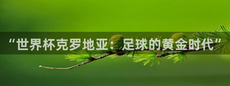 世界杯足球比赛：“世界杯克罗地亚：足球的黄金时代”