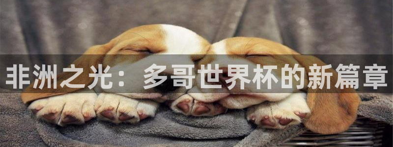 足球世界杯预选赛：非洲之光：多哥世界杯的新篇章