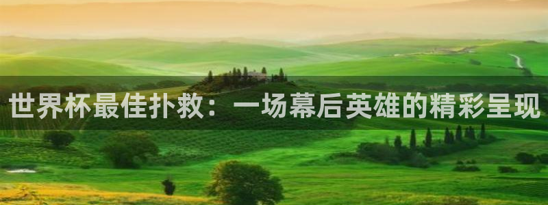 世界杯直播网：世界杯最佳扑救：一场幕后英雄的精彩呈现