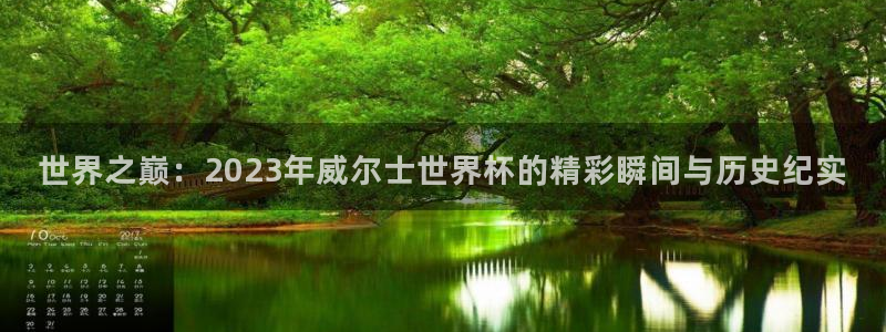 世界杯直播：世界之巅：2023年威尔士世界杯的精彩瞬间与历史纪实