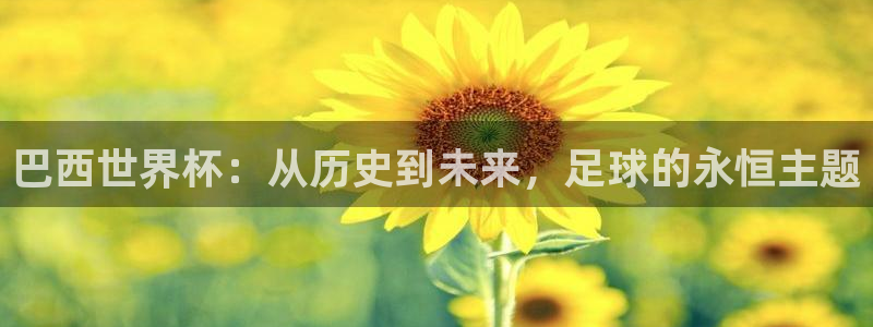 中国 世界杯：巴西世界杯：从历史到未来，足球的永恒主题