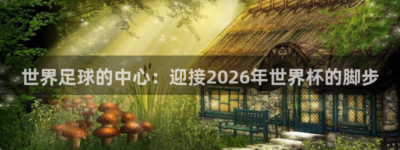 世俱杯直播：世界足球的中心：迎接2026年世界杯的脚步