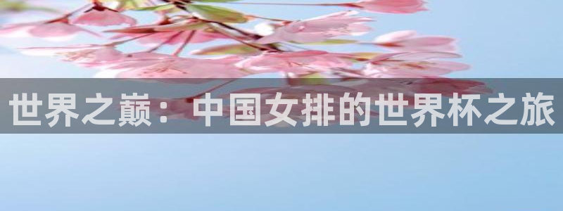 世界杯 中国：世界之巅：中国女排的世界杯之旅