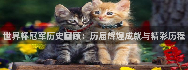世界杯预选赛亚洲区积分榜：世界杯冠军历史回顾：历届辉煌成就与精彩历程