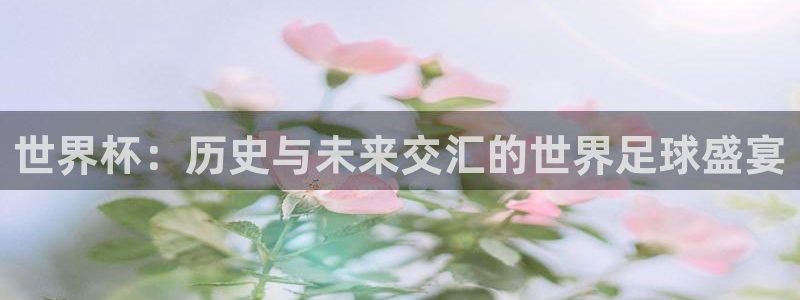 世界杯足球赛：世界杯：历史与未来交汇的世界足球盛宴