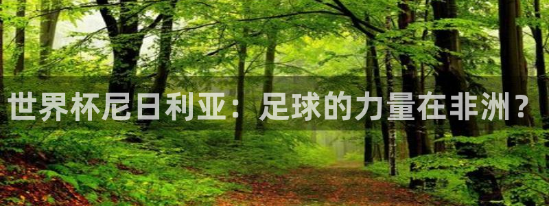 2026世界杯倒计时：世界杯尼日利亚：足球的力量在非洲？