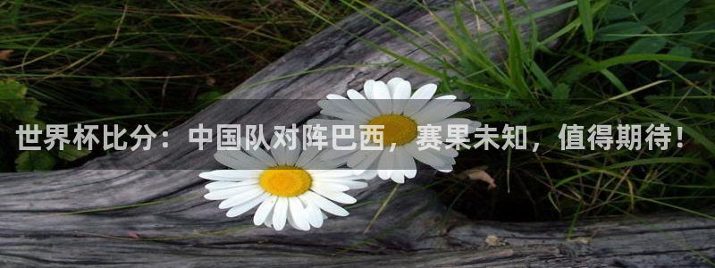 世界杯球赛：世界杯比分：中国队对阵巴西，赛果未知，值得期待！